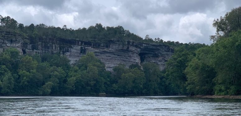 Guided Fishing Trip in Calico Rock